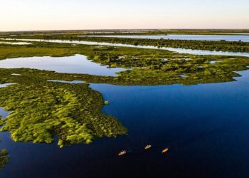 projetos no Senado reforçam agenda climática — Senado Notícias