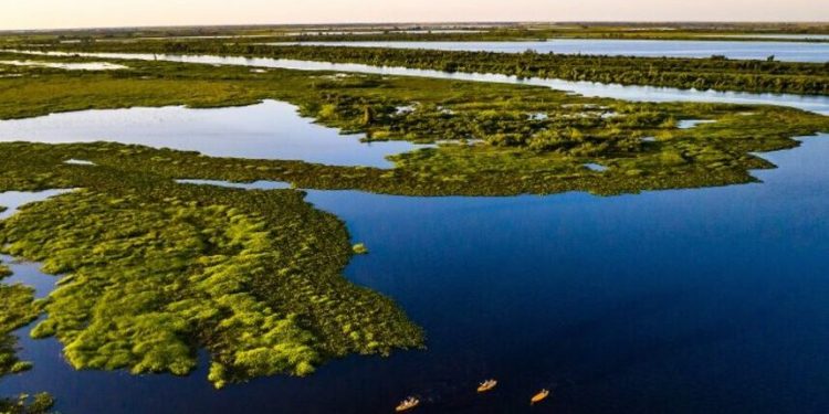 projetos no Senado reforçam agenda climática — Senado Notícias